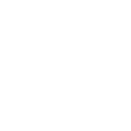 Icon of a cloud