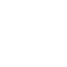 Icon of a script