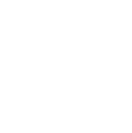 Icon of a gear